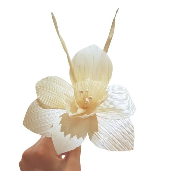 ห้างหุ้นส่วนจำกัด เอส ซี ที เปเปอร์ - จำหน่ายกระดาษทำดอกไม้จันท์ ราคาส่ง ห้างหุ้นส่วนจำกัด เอส ซี ที เปเปอร์ - จำหน่ายกระดาษทำดอกไม้จันท์ ราคาส่ง